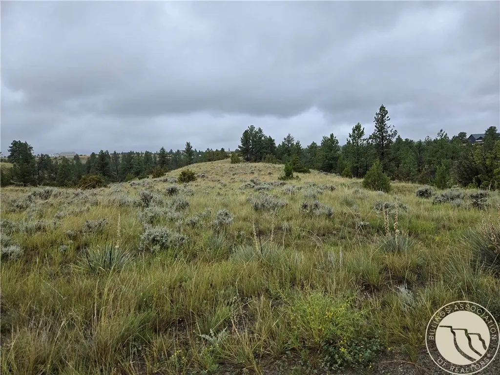 Parcel 16 Mountain View Road Molt MT 59057
