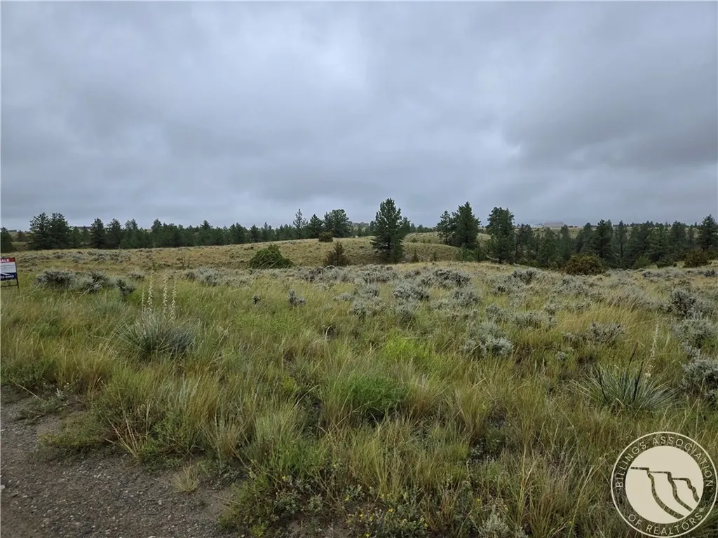 Parcel 16 Mountain View Road Molt MT 59057