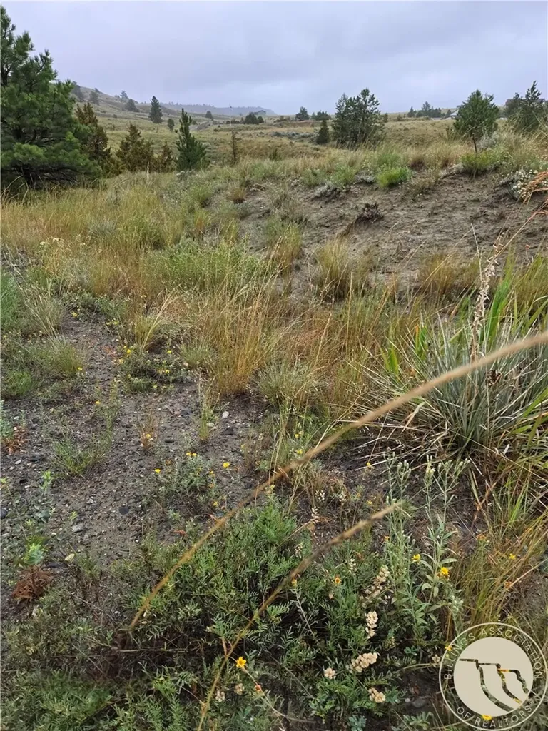 Parcel 16 Mountain View Road Molt MT 59057