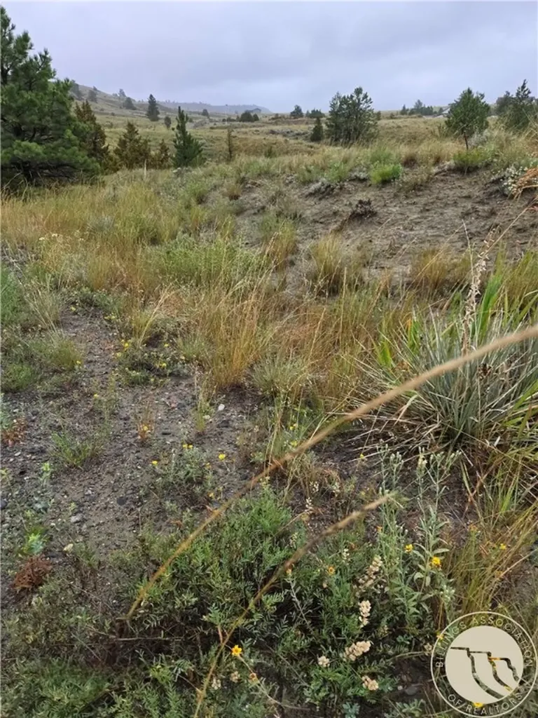 Parcel 16 Mountain View Road Molt MT 59057