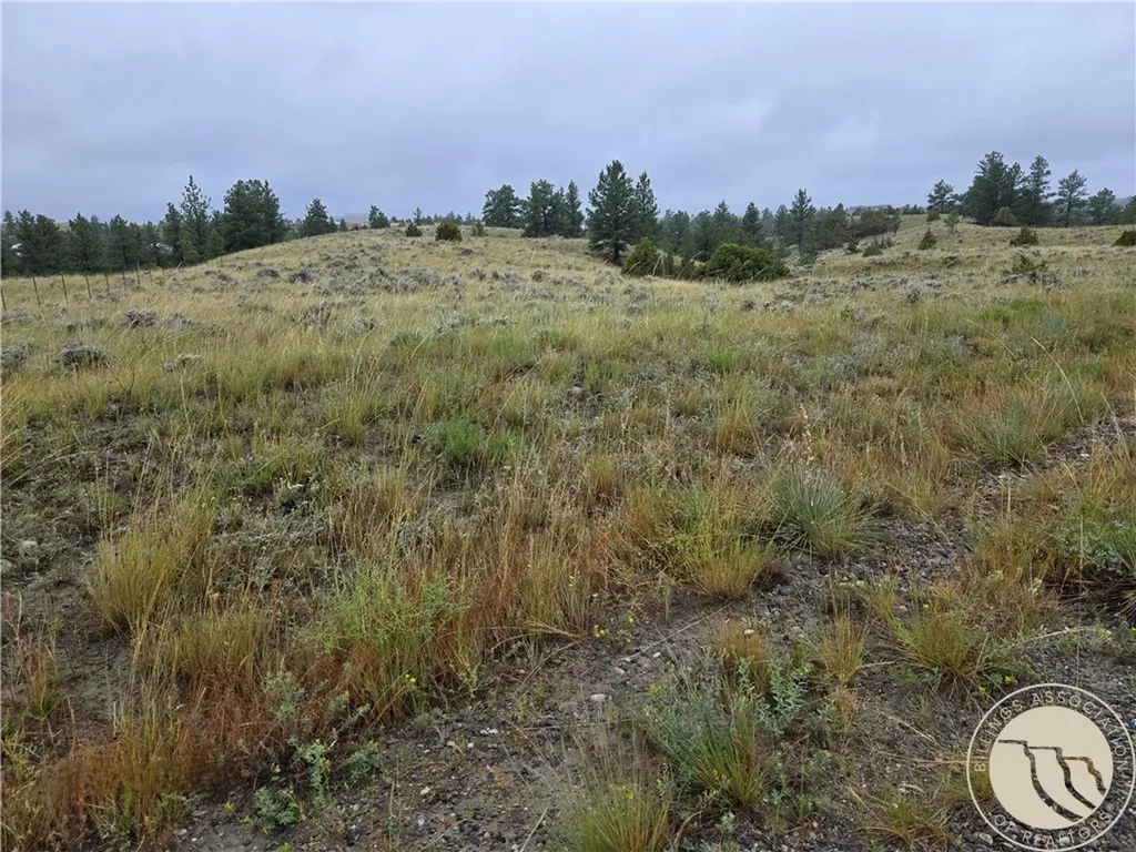 Parcel 16 Mountain View Road Molt MT 59057