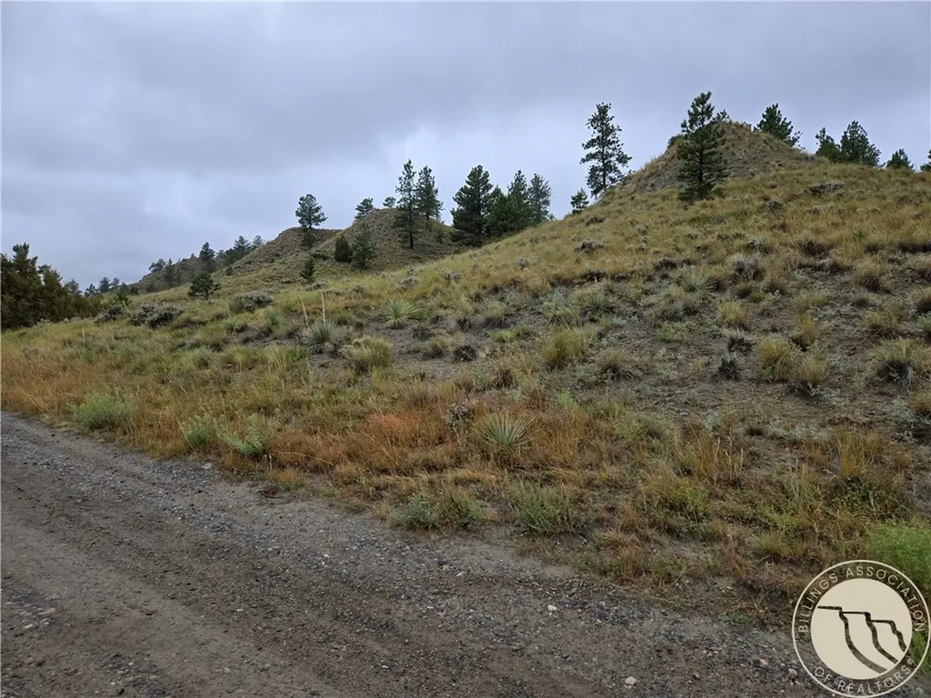 Parcel 16 Mountain View Road Molt MT 59057