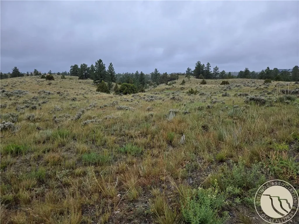 Parcel 16 Mountain View Road Molt MT 59057