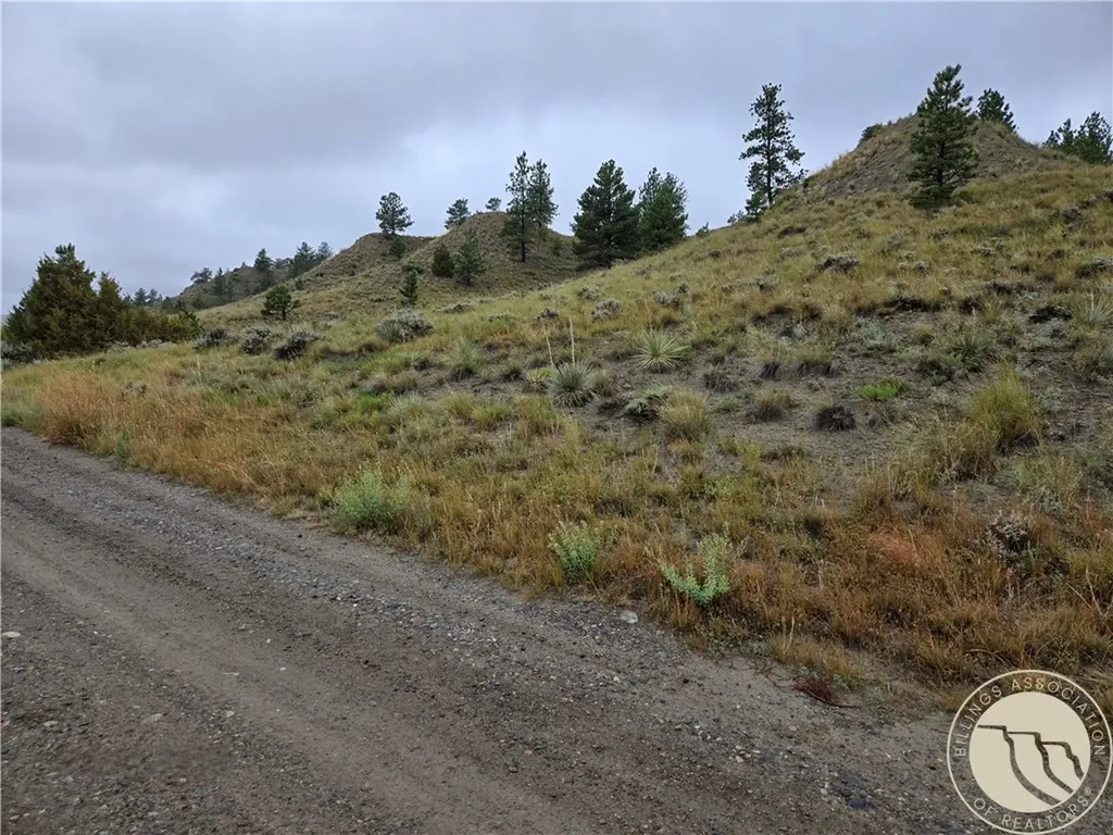 Parcel 16 Mountain View Road Molt MT 59057
