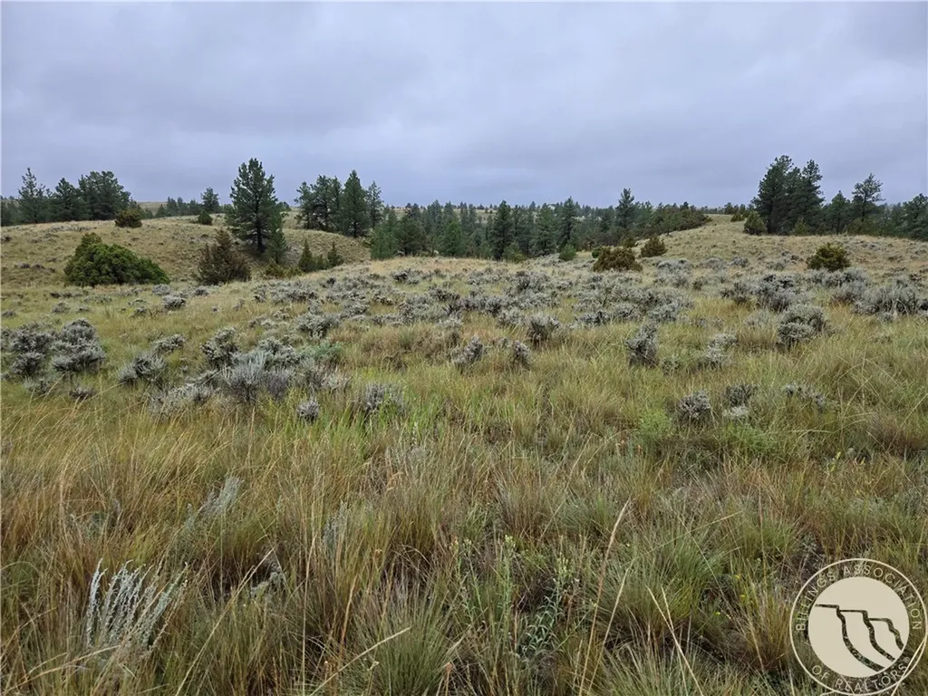 Parcel 16 Mountain View Road Molt MT 59057