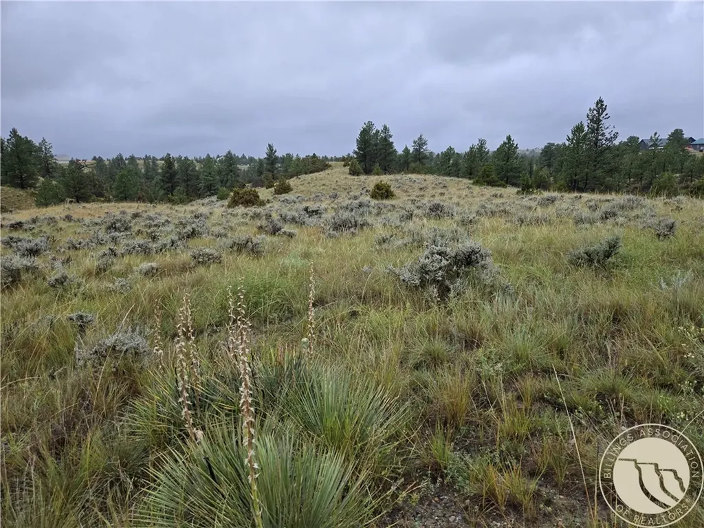 Parcel 16 Mountain View Road Molt MT 59057