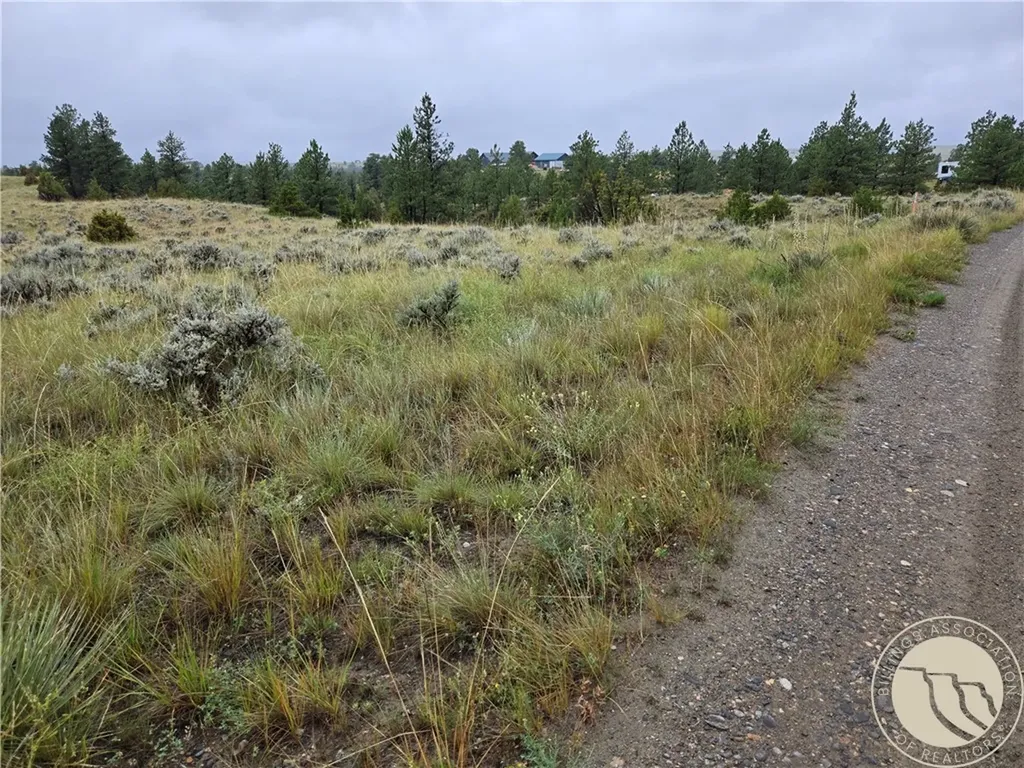 Parcel 16 Mountain View Road Molt MT 59057