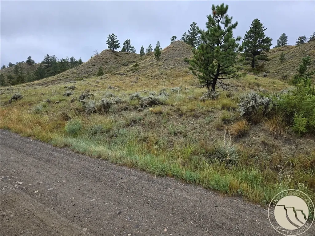 Parcel 16 Mountain View Road Molt MT 59057