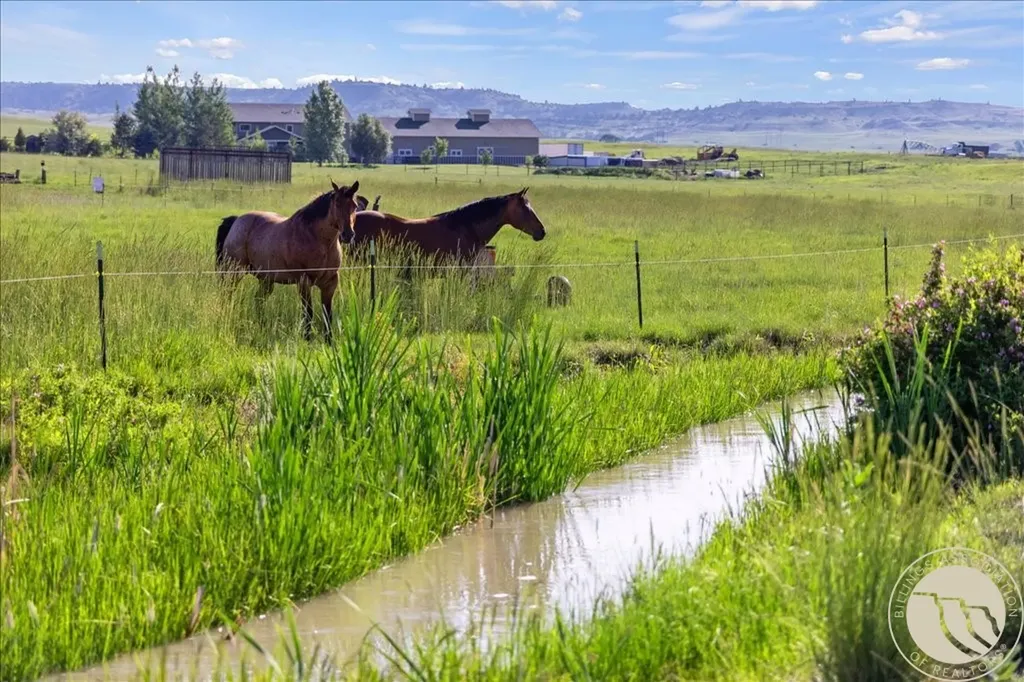 20 Rapelje Big Timber MT 59011