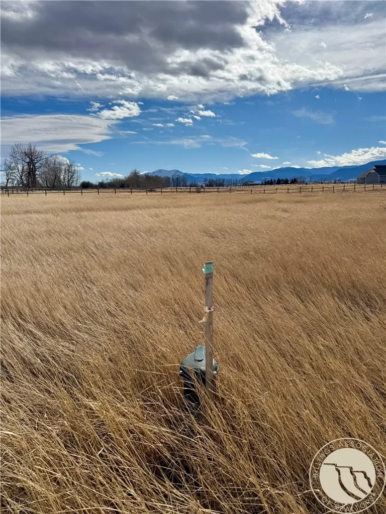 11 Horseshoe Trail Roberts MT 59070