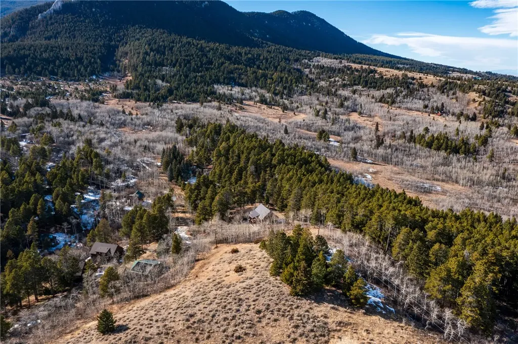 26 Beaver Trail Loop Red Lodge MT 59068