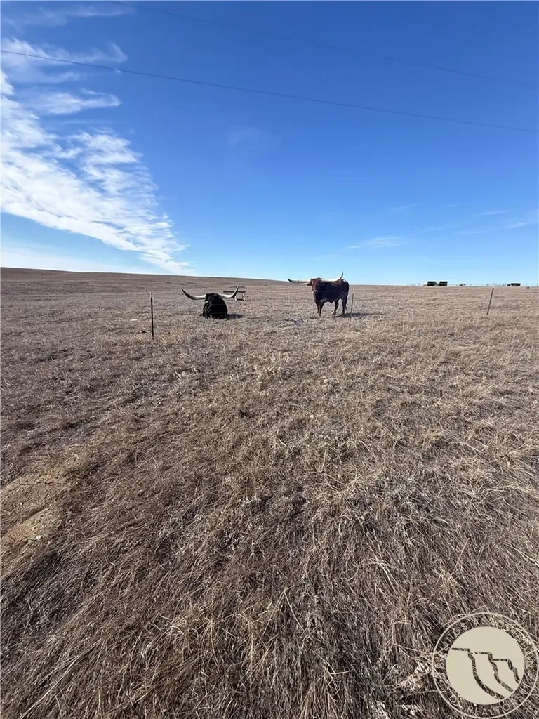 Tbd Basin Acres Shawmut MT 59078