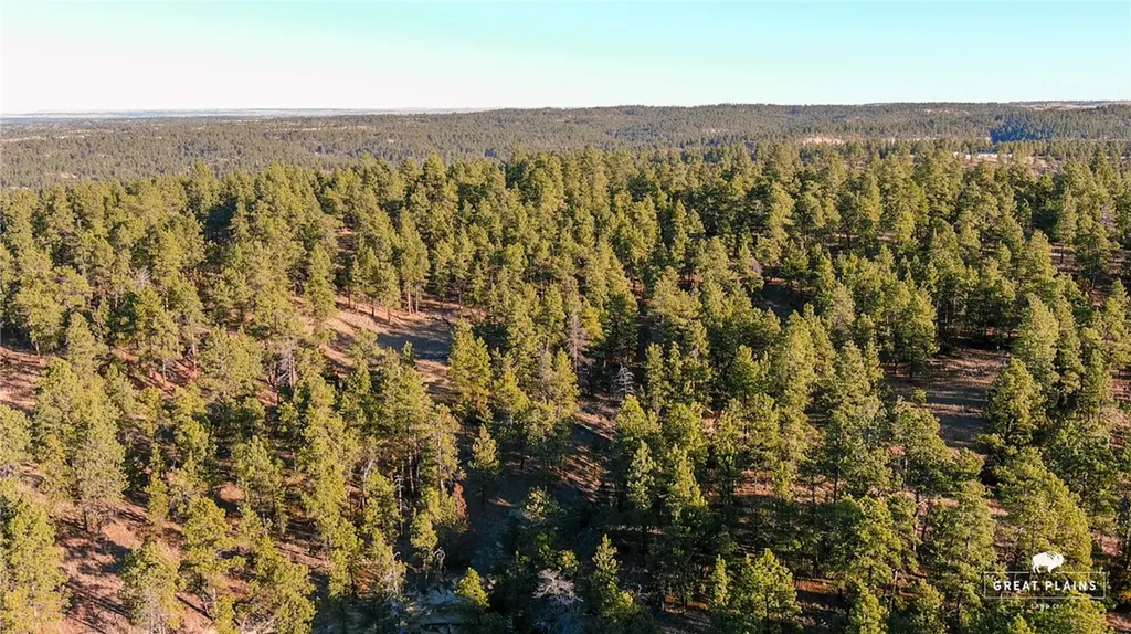 52 Buckskin Road Roundup MT 59072
