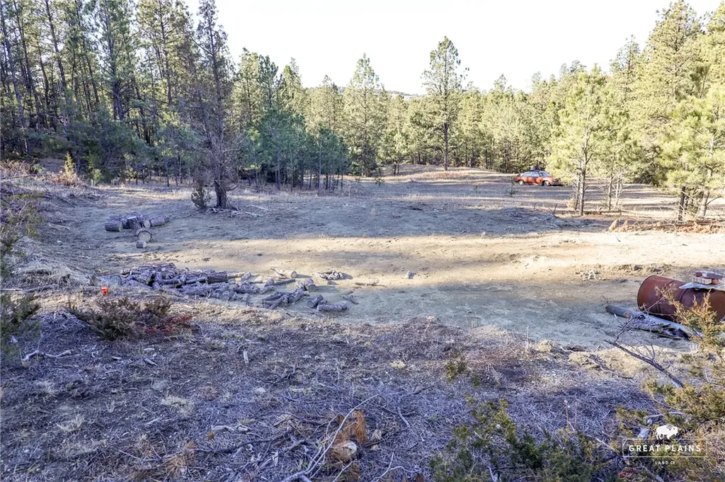 52 Buckskin Road Roundup MT 59072