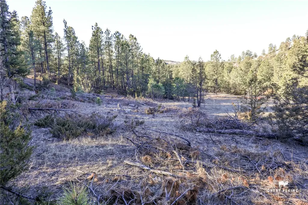 52 Buckskin Road Roundup MT 59072