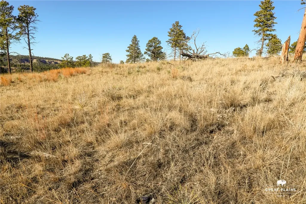 52 Buckskin Road Roundup MT 59072