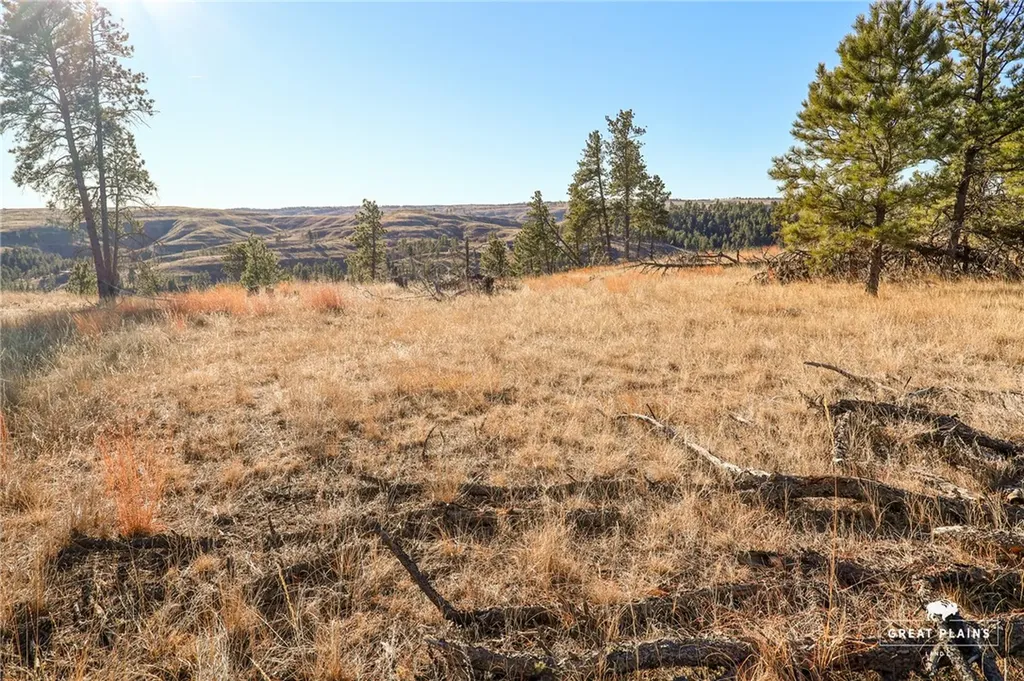 52 Buckskin Road Roundup MT 59072