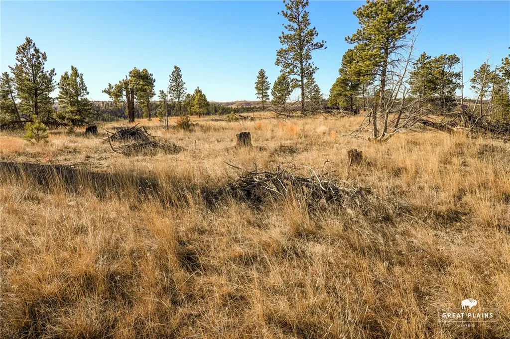 52 Buckskin Road Roundup MT 59072