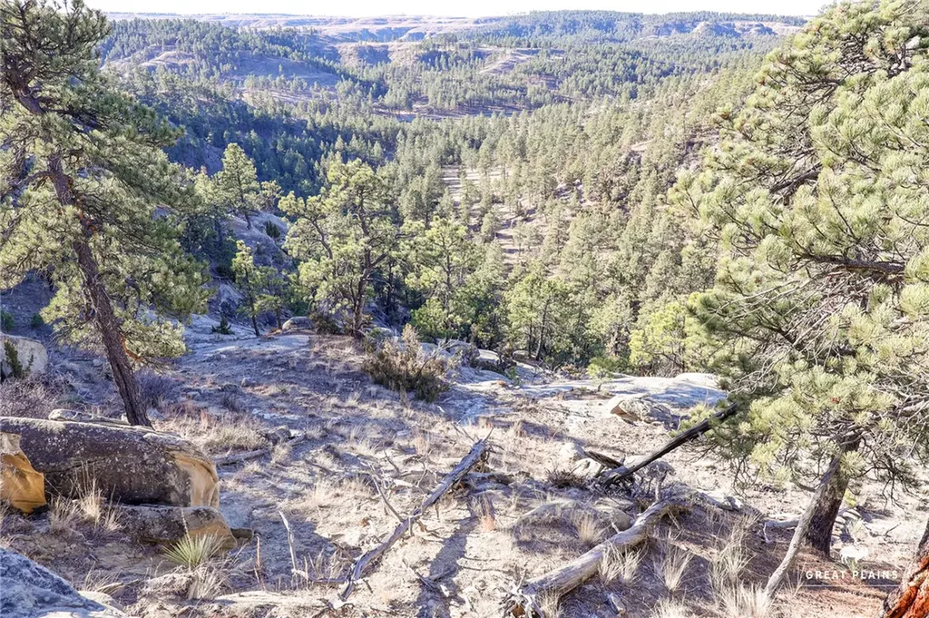 52 Buckskin Road Roundup MT 59072