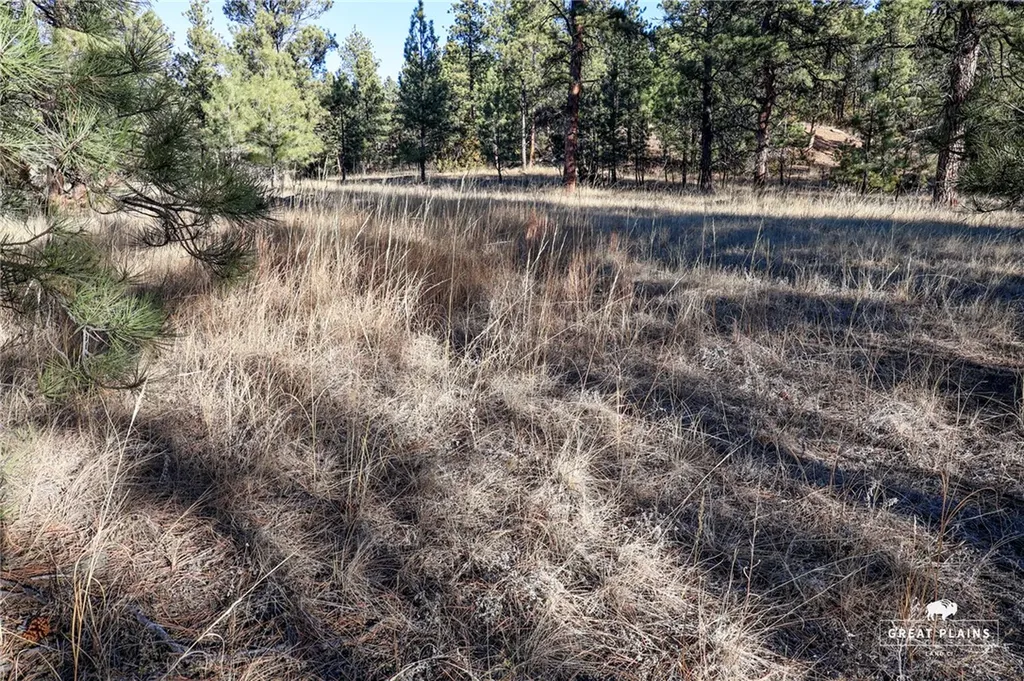 52 Buckskin Road Roundup MT 59072