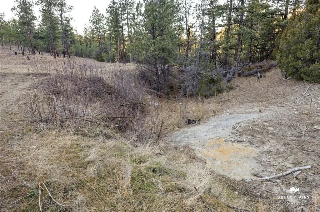 52 Buckskin Road Roundup MT 59072
