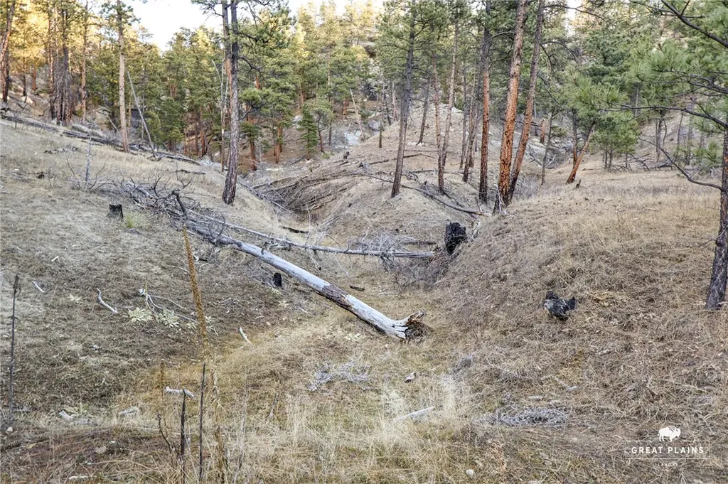 52 Buckskin Road Roundup MT 59072