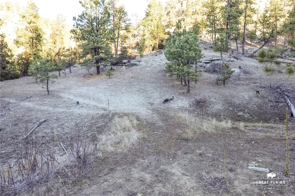 52 Buckskin Road Roundup MT 59072