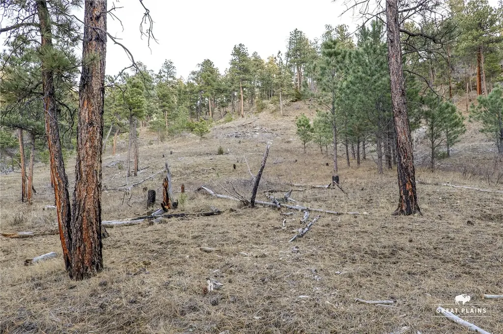 52 Buckskin Road Roundup MT 59072