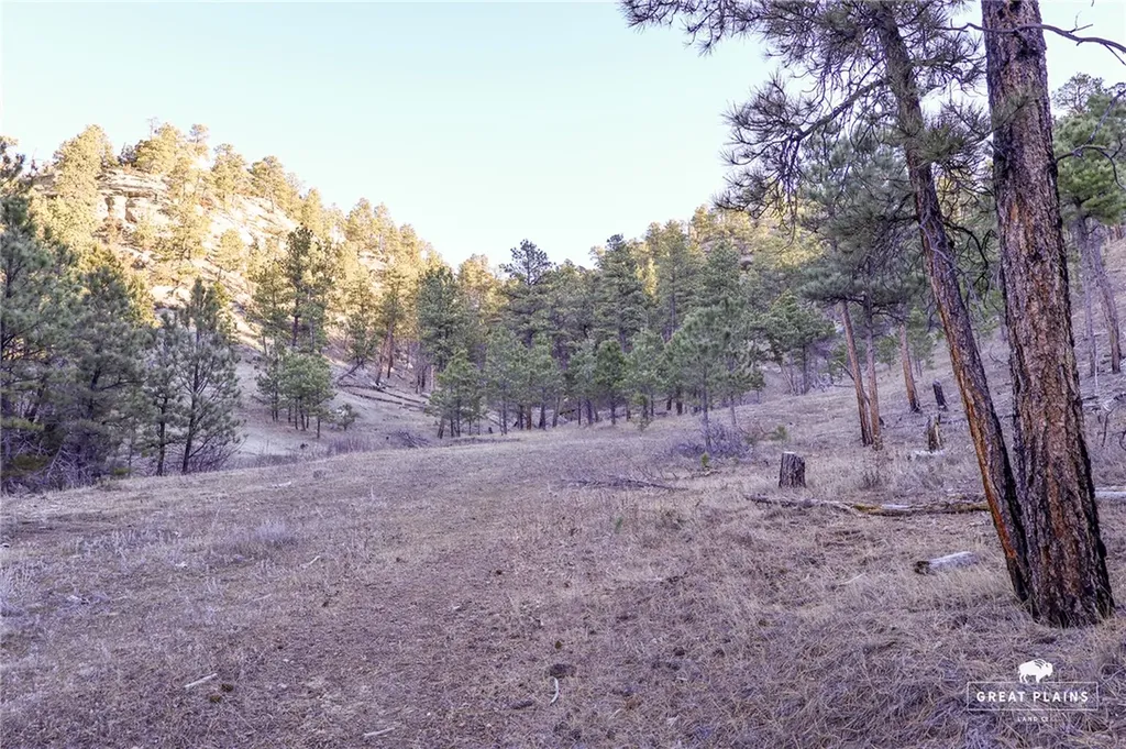 52 Buckskin Road Roundup MT 59072