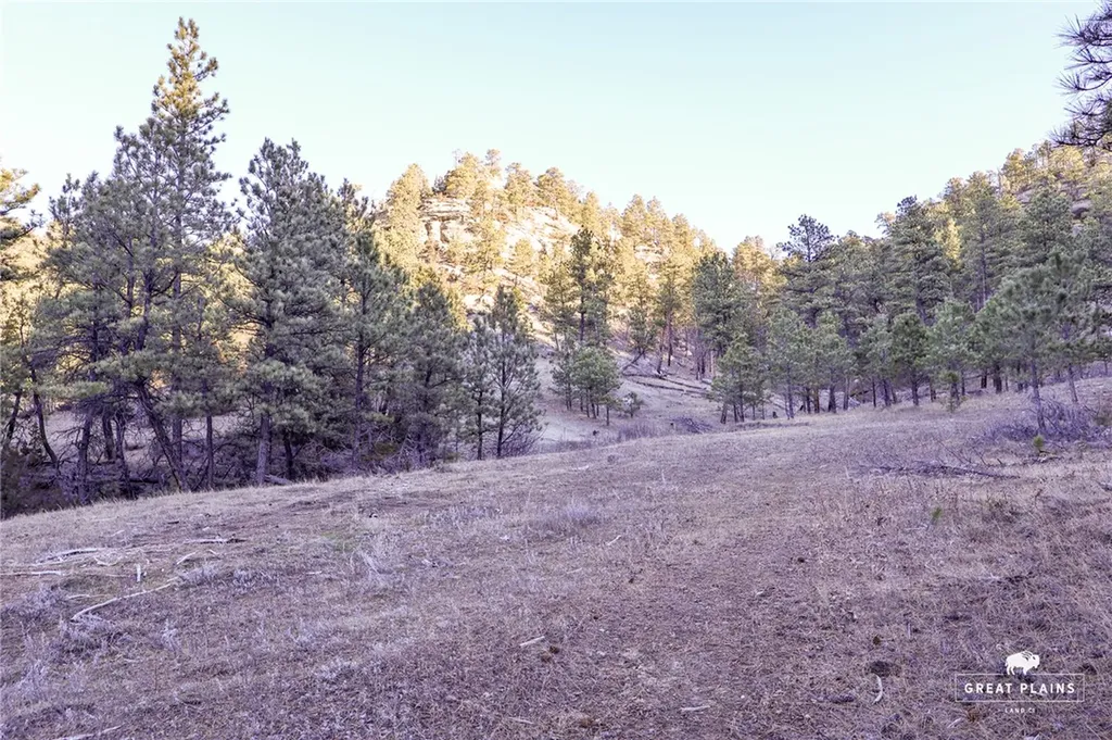 52 Buckskin Road Roundup MT 59072