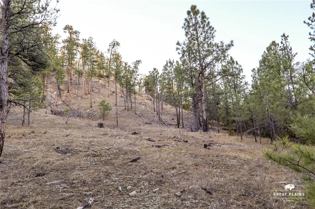 52 Buckskin Road Roundup MT 59072