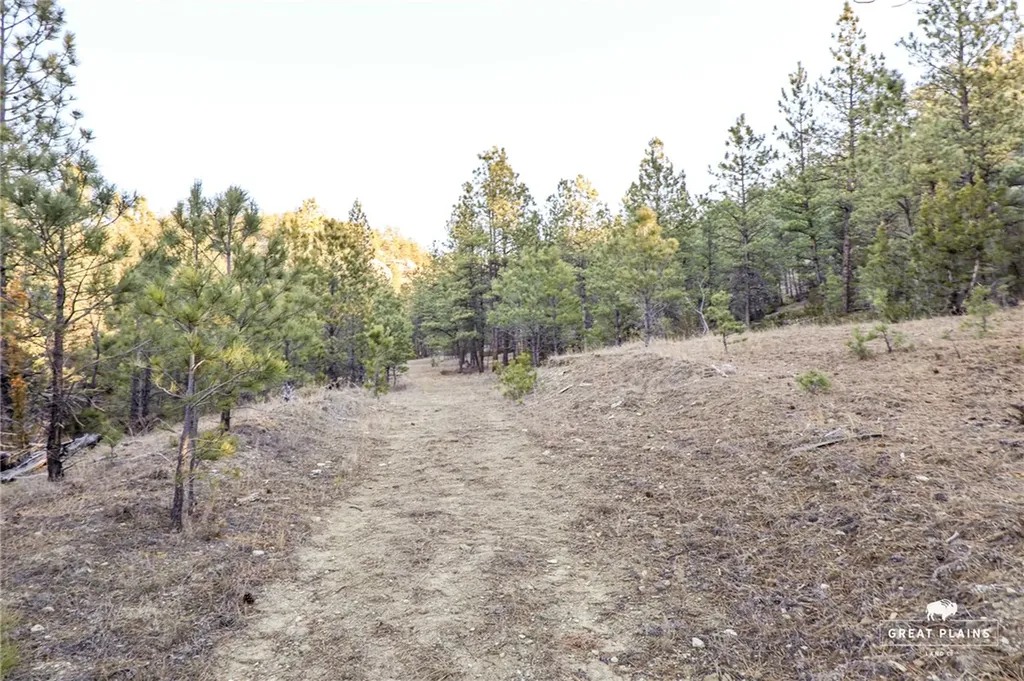 52 Buckskin Road Roundup MT 59072