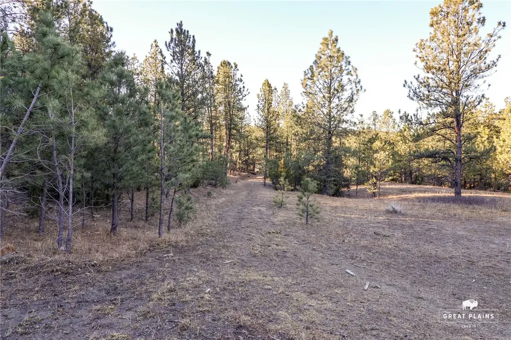 52 Buckskin Road Roundup MT 59072