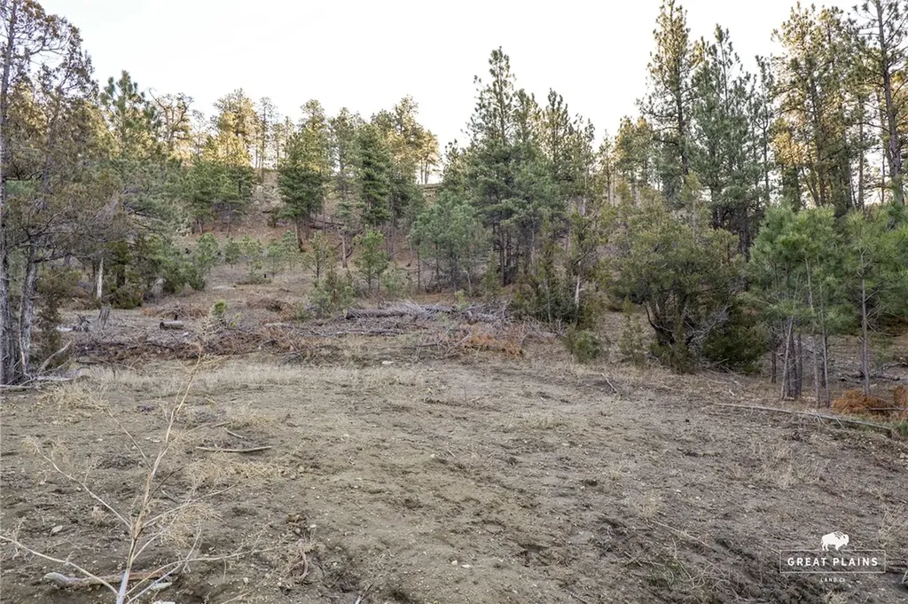 52 Buckskin Road Roundup MT 59072