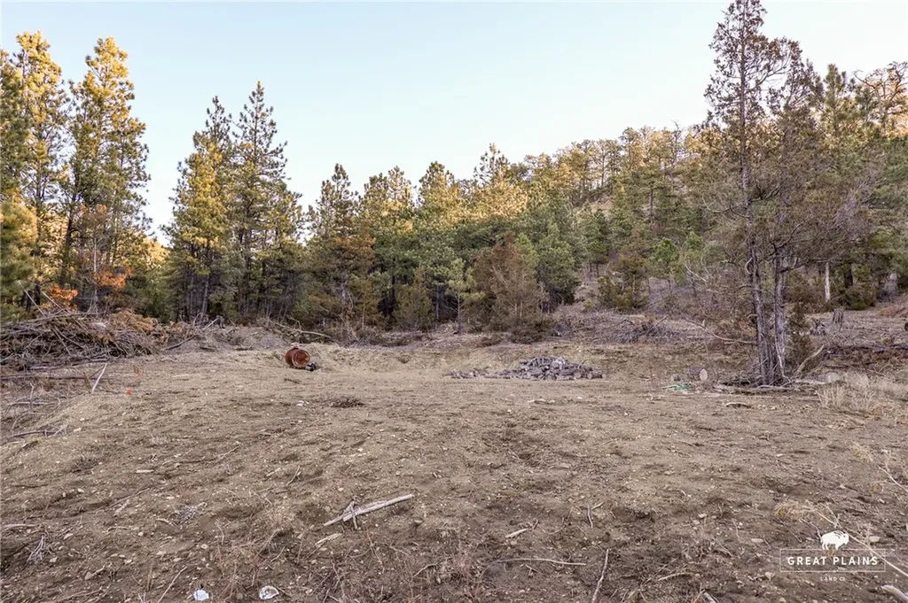 52 Buckskin Road Roundup MT 59072