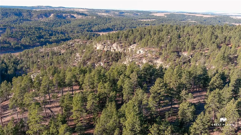 52 Buckskin Road Roundup MT 59072