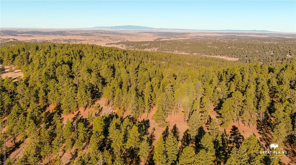 52 Buckskin Road Roundup MT 59072