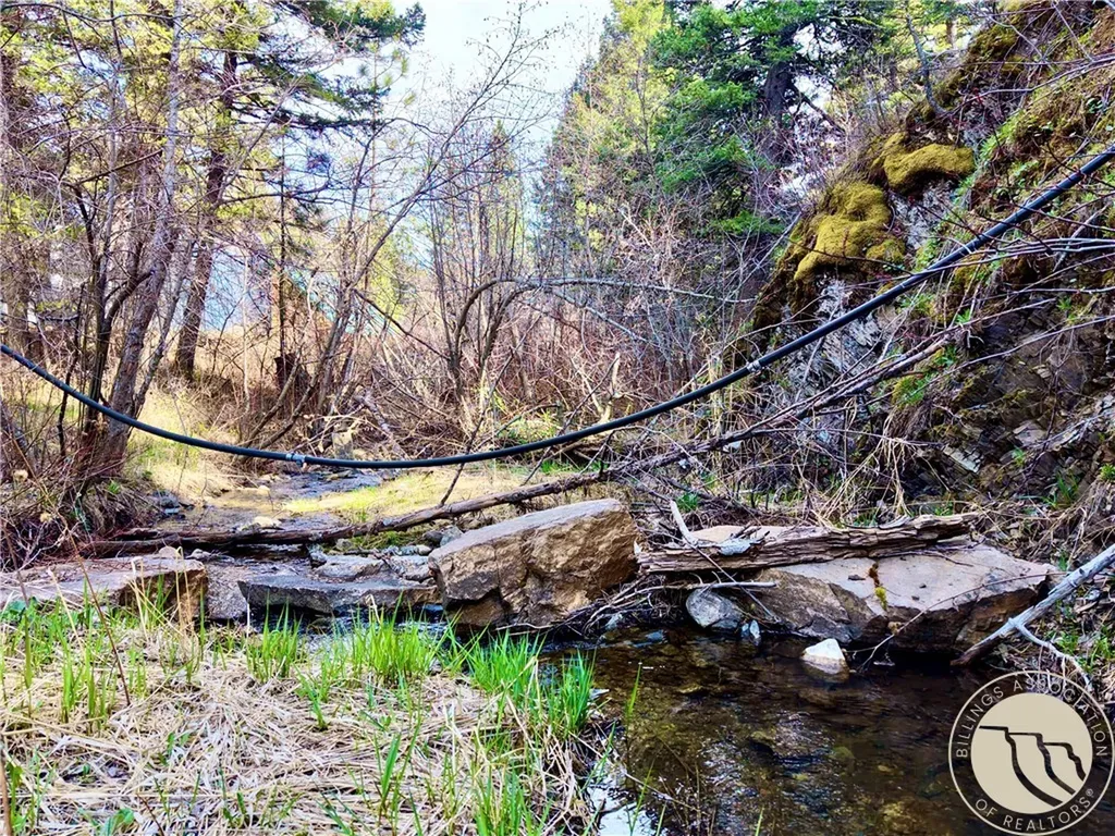 3925 Little Wolf Creek Road Other MT 59648