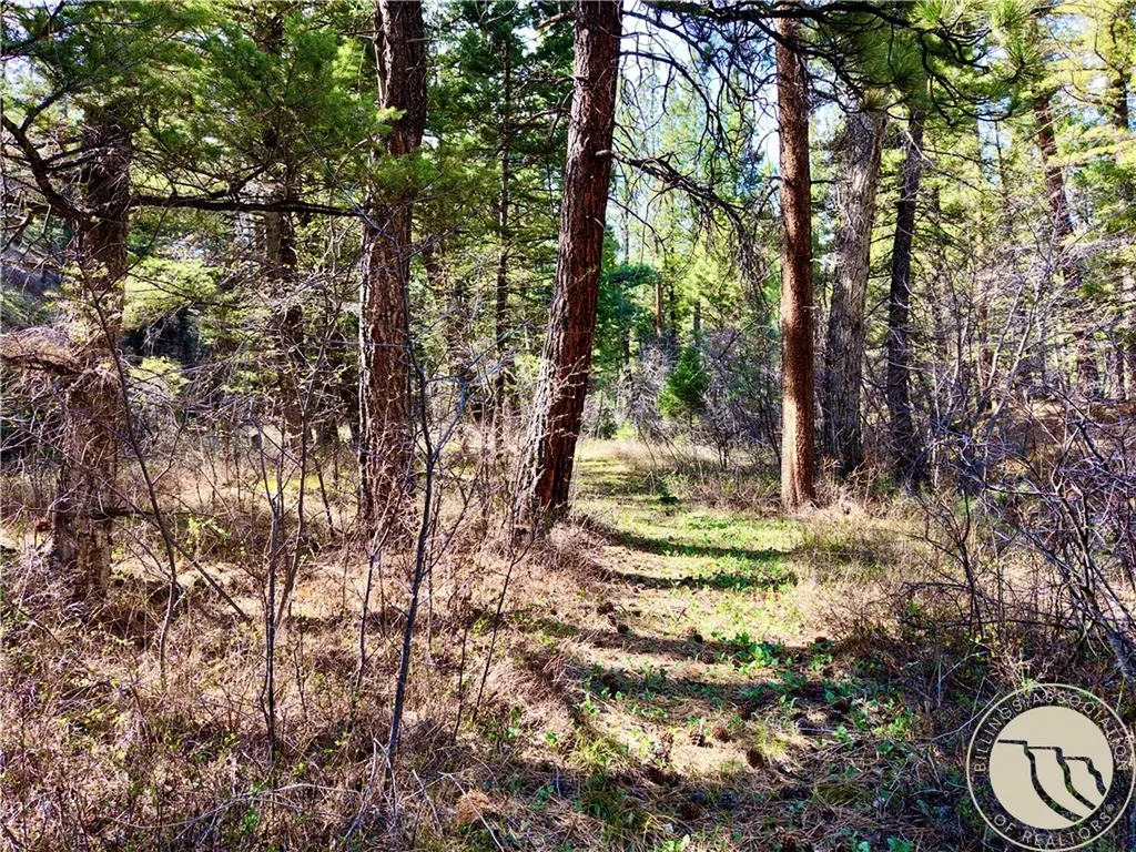 3925 Little Wolf Creek Road Other MT 59648