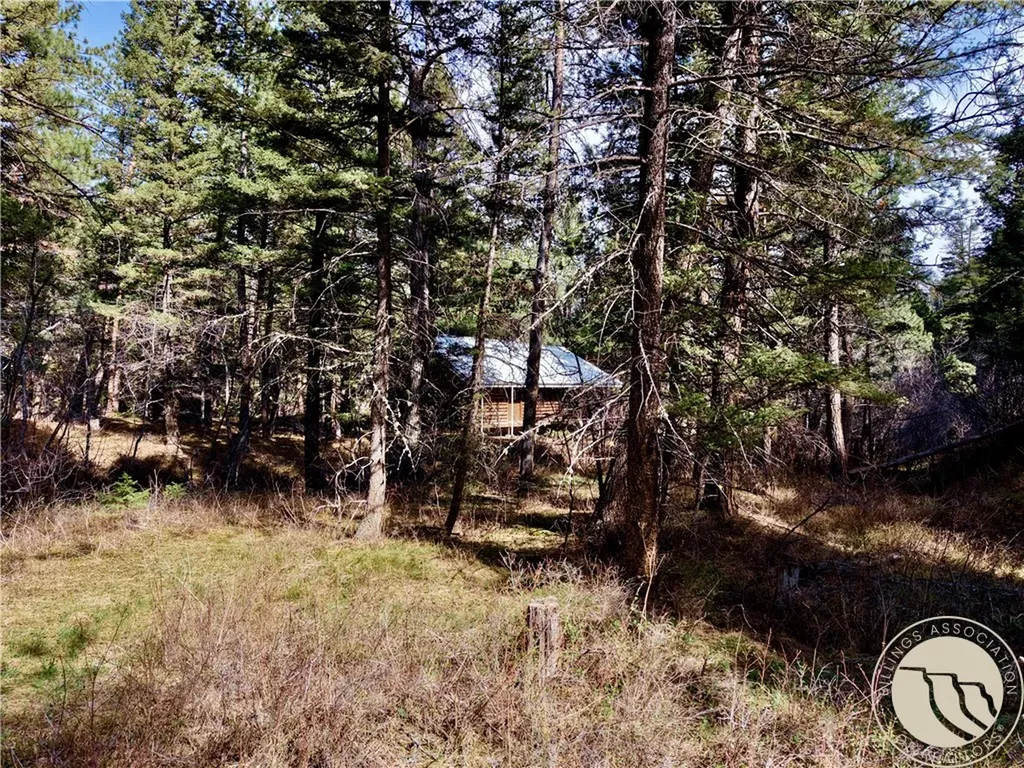 3925 Little Wolf Creek Road Other MT 59648