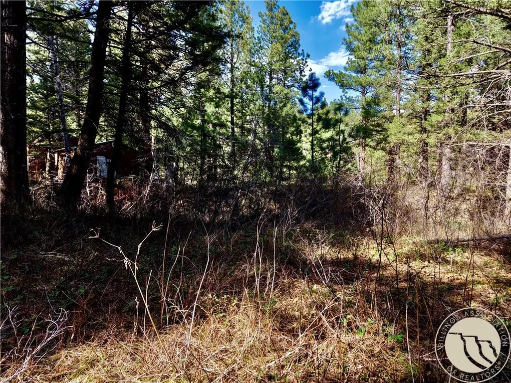 3925 Little Wolf Creek Road Other MT 59648