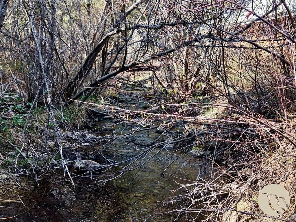 3925 Little Wolf Creek Road Other MT 59648