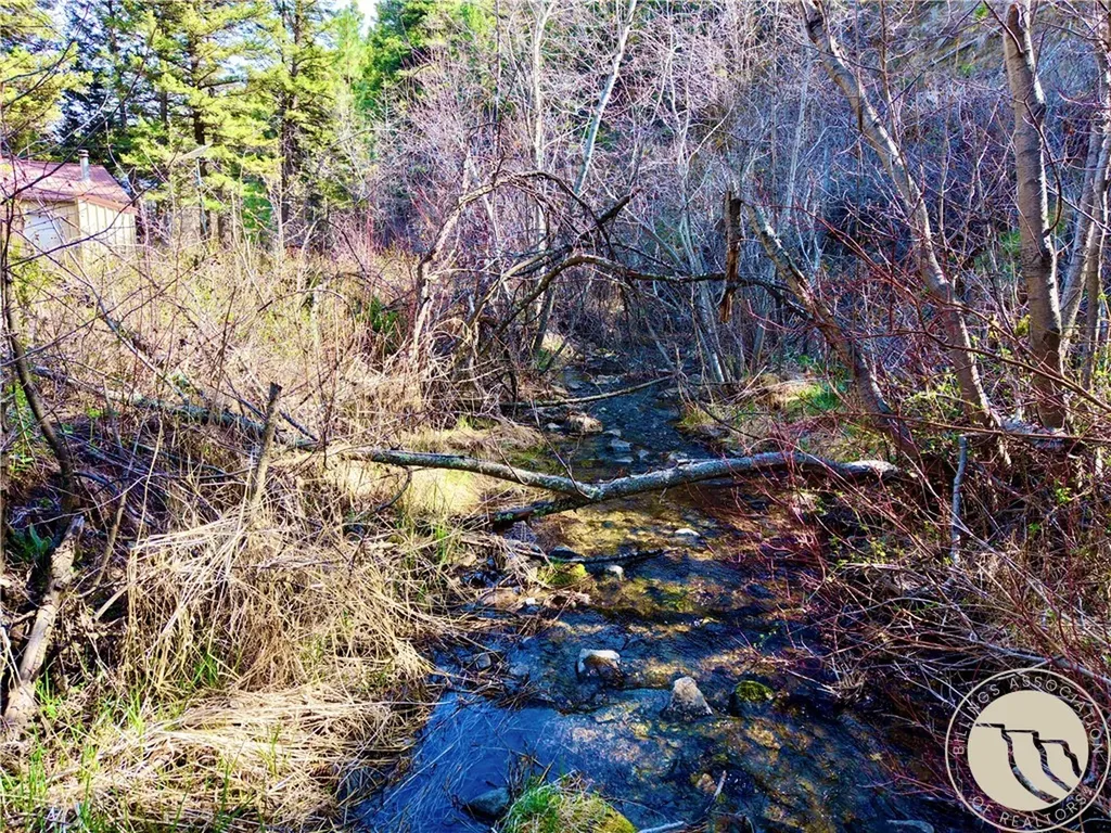 3925 Little Wolf Creek Road Other MT 59648