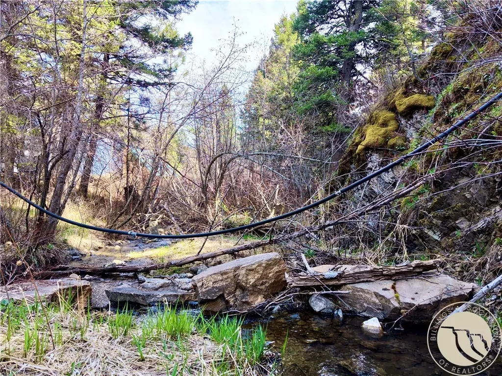 3925 Little Wolf Creek Road Other MT 59648