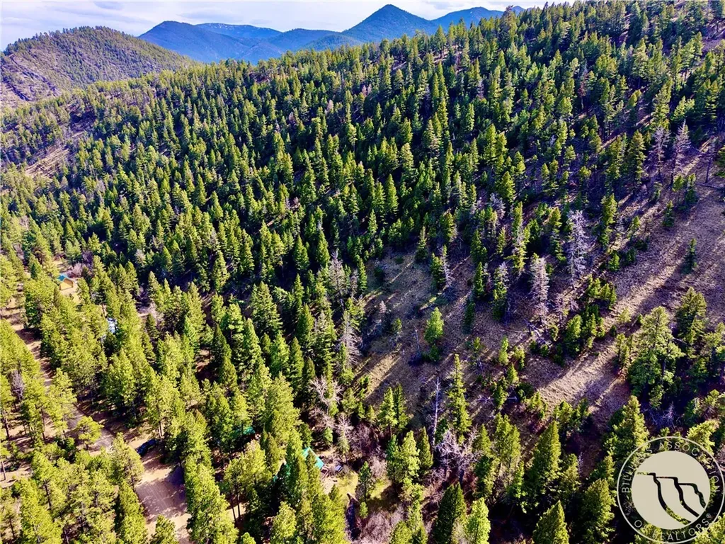 3925 Little Wolf Creek Road Other MT 59648