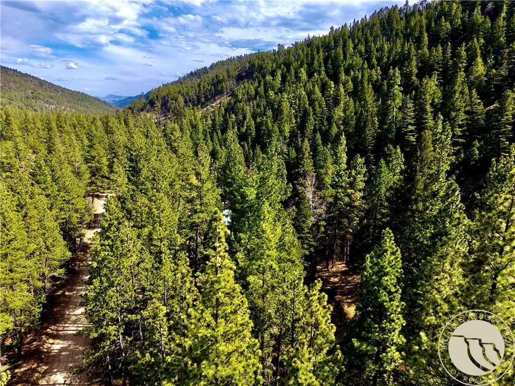 3925 Little Wolf Creek Road Other MT 59648