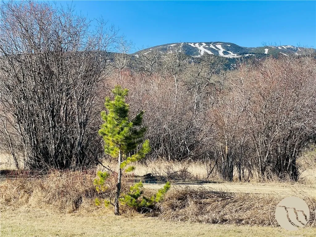 23 Willow Drive Red Lodge MT 59068