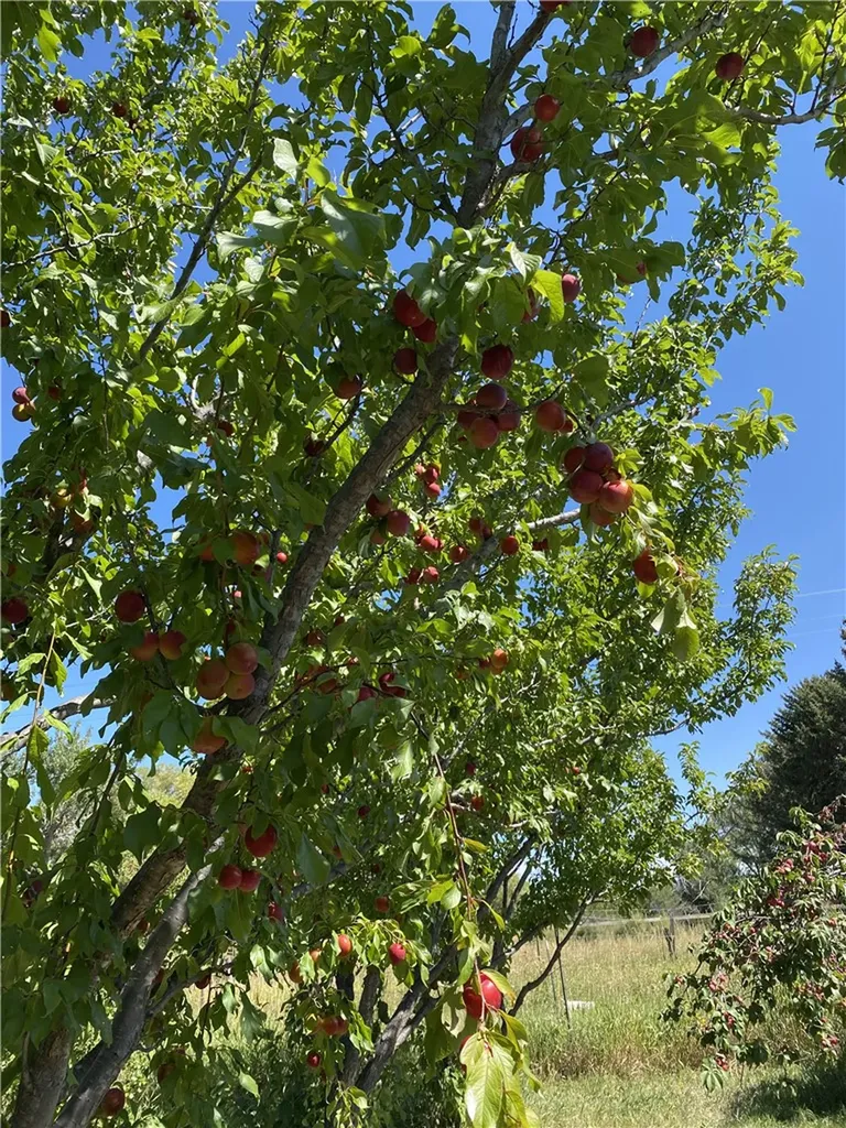 157 Hergenrider Road Bridger MT 59014