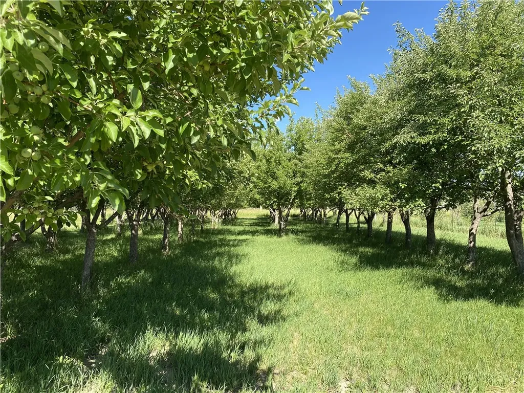 157 Hergenrider Road Bridger MT 59014