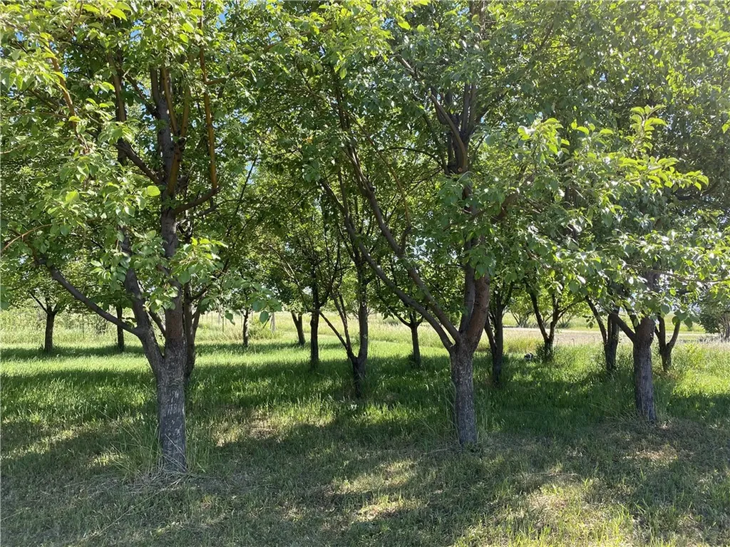 157 Hergenrider Road Bridger MT 59014